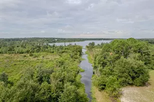 2392 SE 175 Ter Rd, Silver Springs, FL 34488 - Photo 50
