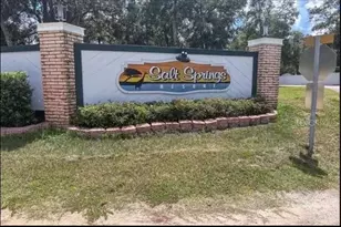 25296 141st Street NE, Fort Mc Coy, FL 32134 - Photo 16