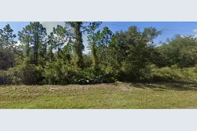0 NE 64th Avenue, Citra, FL 32113 - Photo 2