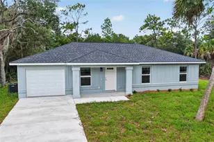 3 Walnut Run Ct, Ocala, FL 34480 - Photo 1