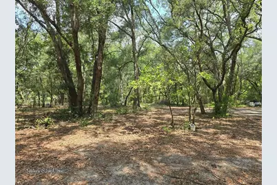 17120 SE 130th Avenue, Weirsdale, FL 32195 - Photo 6