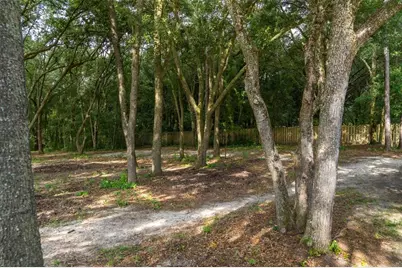 40 Deer Trail Circle, Bronson, FL 32621 - Photo 4