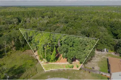 40 Deer Trail Circle, Bronson, FL 32621 - Photo 2