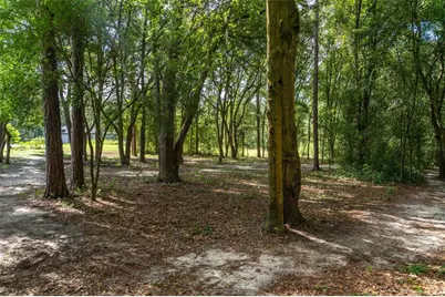 40 Deer Trail Circle, Bronson, FL 32621 - Photo 6