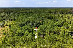 7320 NE 137th Pl, Citra, FL 32113 - Photo 10