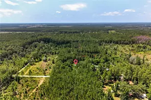 7320 NE 137th Pl, Citra, FL 32113 - Photo 12