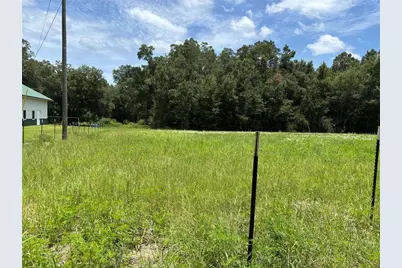 Ne 23, Citra, FL 32113 - Photo 4