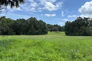 NE 23, Citra, FL 32113 - Photo 1