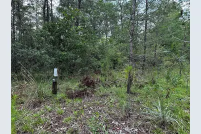 6270 NE 139th Avenue, Williston, FL 32696 - Photo 4