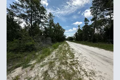 6270 NE 139th Avenue, Williston, FL 32696 - Photo 16