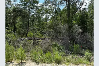 6270 NE 139th Avenue, Williston, FL 32696 - Photo 1