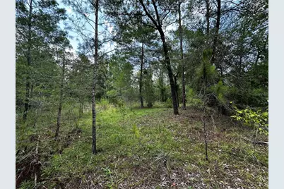 6270 NE 139th Avenue, Williston, FL 32696 - Photo 8