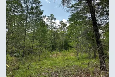 6270 NE 139th Avenue, Williston, FL 32696 - Photo 2
