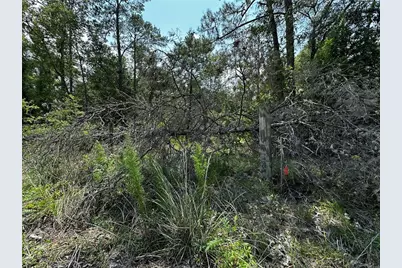 6270 NE 139th Avenue, Williston, FL 32696 - Photo 12