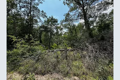 6270 NE 139th Avenue, Williston, FL 32696 - Photo 14