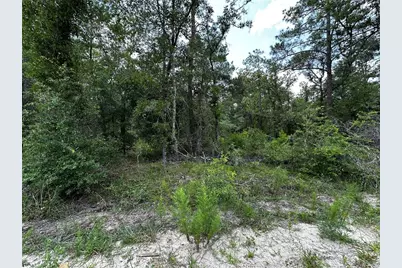 6270 NE 139th Avenue, Williston, FL 32696 - Photo 10