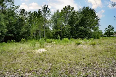 Tbd SE 55th Street, Morriston, FL 32668 - Photo 12