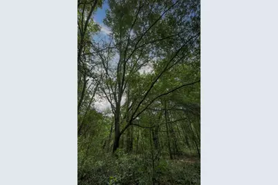 Tbd SE 55th Street, Morriston, FL 32668 - Photo 10