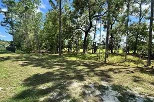 259 Hickory Course Radial, Ocala, FL 34472 - Photo 6