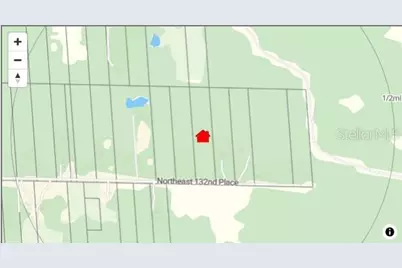 0 NE 132nd Pl, Citra, FL 32113 - Photo 4