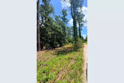 0 NE 132nd Pl, Citra, FL 32113 - Photo 2