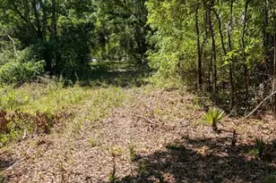 0 NW 202nd Pl, Mc Intosh, FL 32664 - Photo 1
