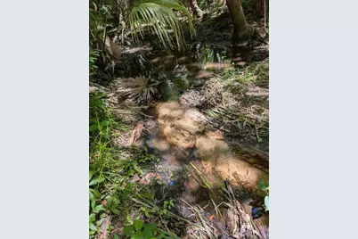 0 NW 202nd Place, Mc Intosh, FL 32664 - Photo 6