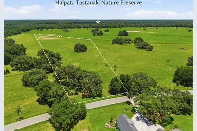 Tbd (Lot 14-W) SW 138th Loop, Dunnellon, FL 34432 - Photo 8
