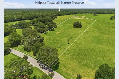 Tbd (Lot 14-W) SW 138th Loop, Dunnellon, FL 34432 - Photo 6