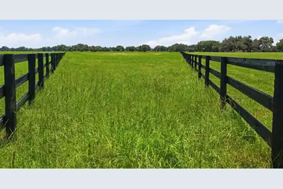 Tbd (Lot 14-W) SW 138th Loop, Dunnellon, FL 34432 - Photo 18