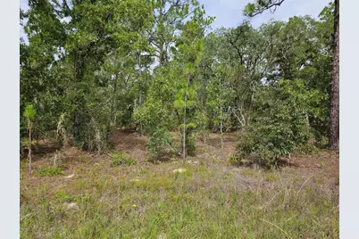 00 SW 122 Avenue, Dunnellon, FL 34432 - Photo 1