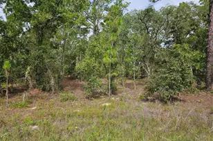 00 SW 122 Ave, Dunnellon, FL 34432 - Photo 1