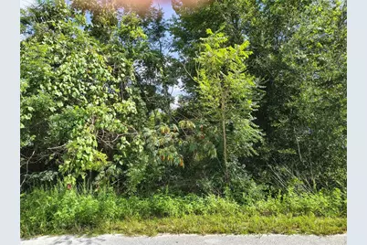 Tbd NW 6th Place, Ocala, FL 34482 - Photo 1