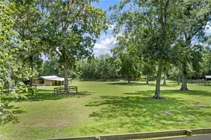 18251 NW 141st Ave, Williston, FL 32696 - Photo 74
