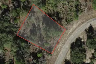 6791 Darlington Dr, Citrus Springs, FL 34434 - Photo 1