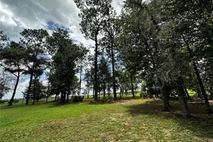 13730 SE 20 St, Morriston, FL 32668 - Photo 34