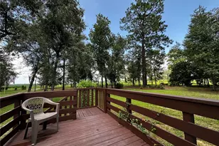 13730 SE 20 St, Morriston, FL 32668 - Photo 6