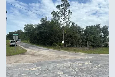 0000 Malauka Place, Ocklawaha, FL 32179 - Photo 2