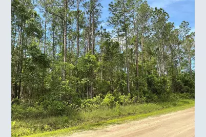 4425 Joyce Street, Hastings, FL 32145 - Photo 4