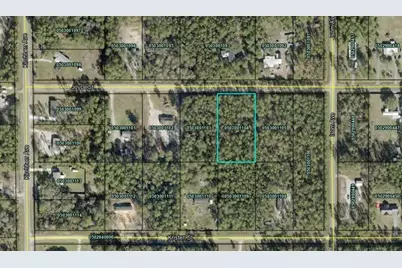 4425 Joyce Street, Hastings, FL 32145 - Photo 2