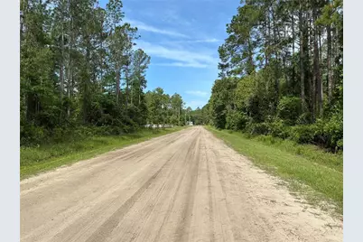 4425 Joyce Street, Hastings, FL 32145 - Photo 6
