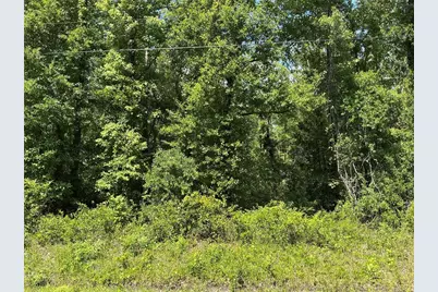 10135 McMahon Avenue, Hastings, FL 32145 - Photo 1