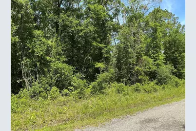 10135 McMahon Avenue, Hastings, FL 32145 - Photo 4