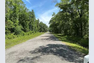 10135 McMahon Avenue, Hastings, FL 32145 - Photo 6