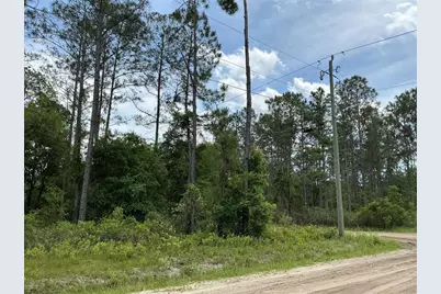 10730 Beckenger Avenue, Hastings, FL 32145 - Photo 4