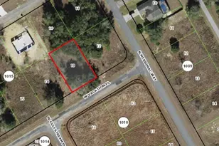 5 W Vacation Pl, Dunnellon, FL 34434 - Photo 1