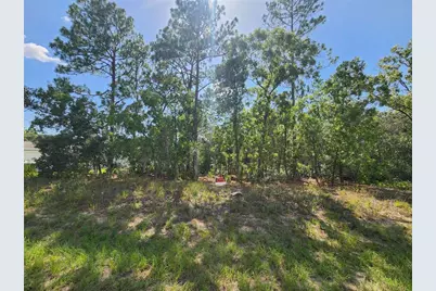 9712 N Lovell Dr, Dunnellon, FL 34433 - Photo 2