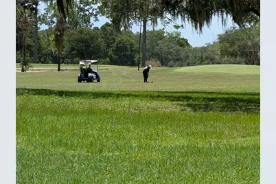 20167 SW 81st Street, Dunnellon, FL 34431 - Photo 6