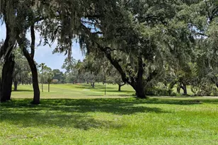 20167 SW 81st St, Dunnellon, FL 34431 - Photo 74