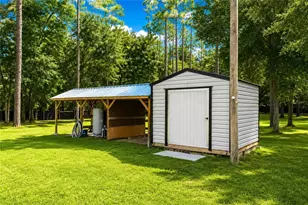 13711 NE 8 St, Williston, FL 32696 - Photo 12
